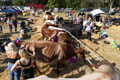 Malton Show 2025