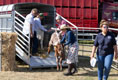Malton Show 2025