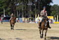 Malton Show 2025