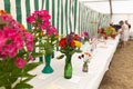 Malton Show 2025