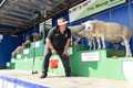 Malton Show 2025
