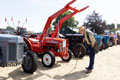 Malton Show 2025