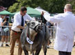 Malton Show 2025