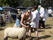 Malton Show 2025
