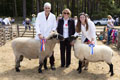 Malton Show 2025