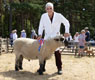 Malton Show 2025