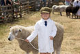 Malton Show 2025