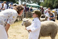 Malton Show 2025