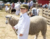 Malton Show 2025