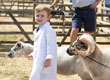 Malton Show 2025
