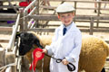 Malton Show 2025