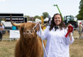 Malton Show 2025
