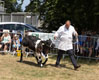 Malton Show 2025