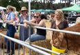 Malton Show 2025