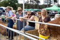 Malton Show 2025