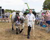 Malton Show 2025