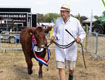 Malton Show 2025