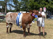 Malton Show 2025