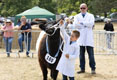 Malton Show 2025