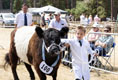 Malton Show 2025