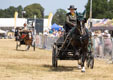 Malton Show 2025