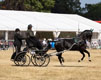 Malton Show 2025