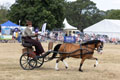 Malton Show 2025