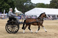 Malton Show 2025