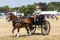 Malton Show 2025