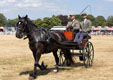 Malton Show 2025