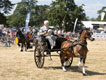 Malton Show 2025
