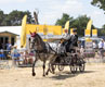Malton Show 2025