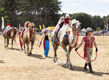 Malton Show 2025