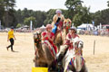 Malton Show 2025