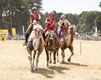 Malton Show 2025