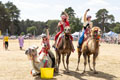 Malton Show 2025
