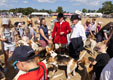 Malton Show 2025