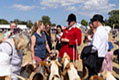 Malton Show 2025