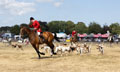 Malton Show 2025