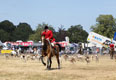 Malton Show 2025
