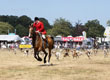 Malton Show 2025