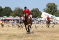 Malton Show 2025