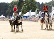 Malton Show 2025