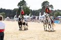 Malton Show 2025