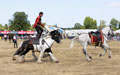 Malton Show 2025