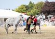 Malton Show 2025