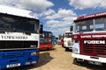 Malton Show 2025