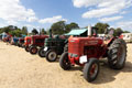 Malton Show 2025