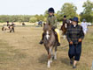 Malton Show 2025