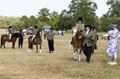 Malton Show 2025
